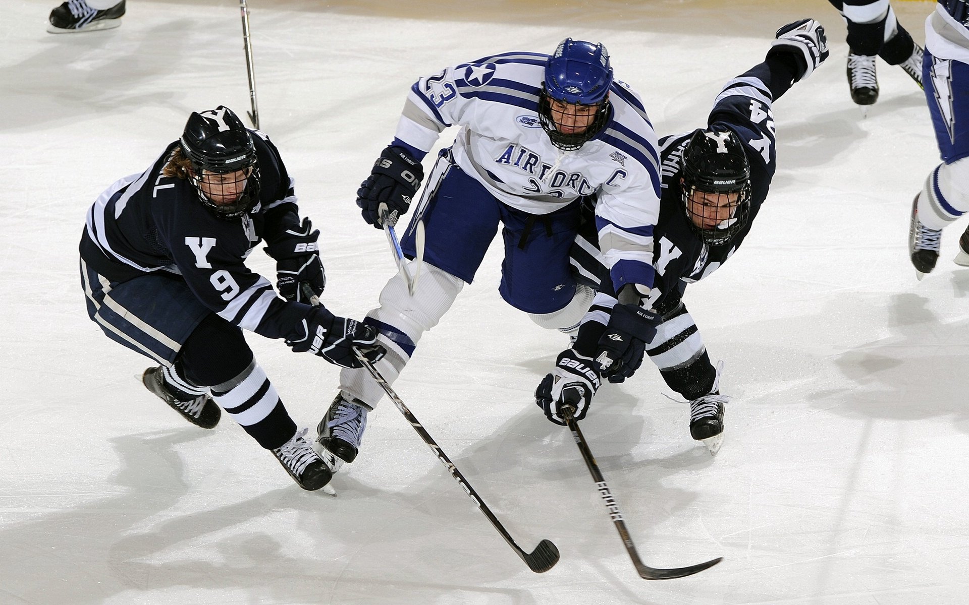 综合格斗赛场焦点!法国队对阵澳大利亚队,激战正酣,豪门对决再度上演